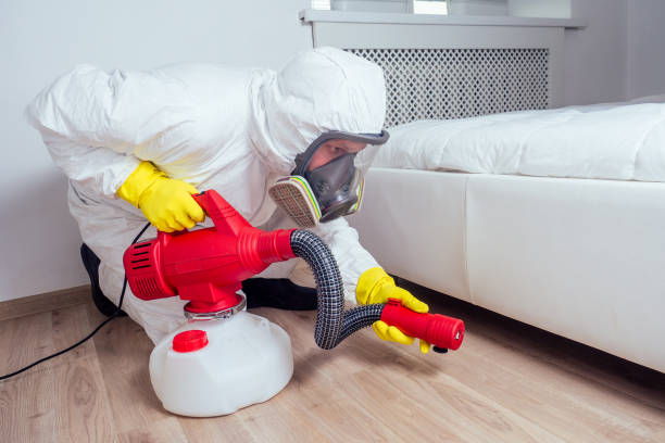 Best Pest Inspection Near Me  in Shenandoah, PA