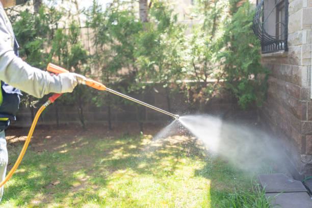 Best Mosquito Control Services  in Shenandoah, PA
