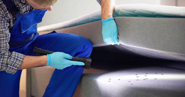 Best Rat Extermination Near Me  in Shenandoah, PA
