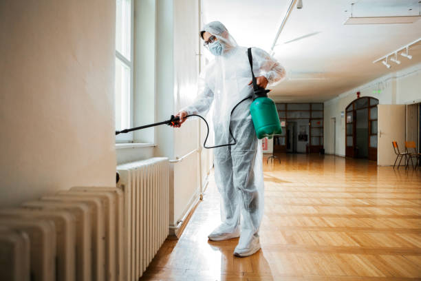 Best Flea Control Services  in Shenandoah, PA