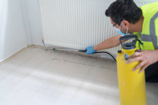 Best Best Pest Control Companies  in Shenandoah, PA